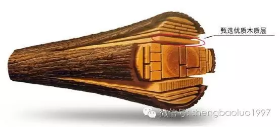 高“顏值”高內(nèi)涵養(yǎng)成術（三） ——圣保羅實木地板